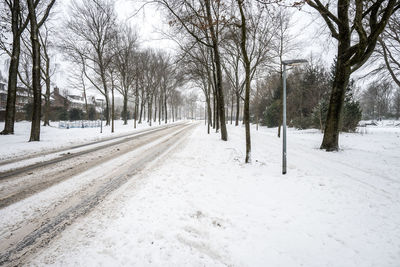 Snow covered road amidst trees during winter