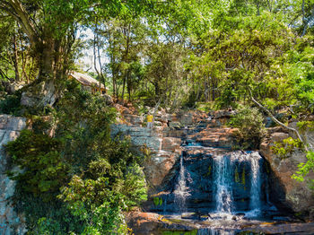 Scenic view of waterfall in forest