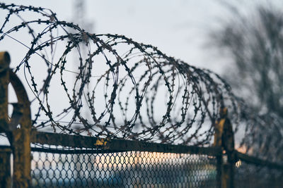 Barbed wire on fence of restricted area. no unauthorized entry. old fence of military territory