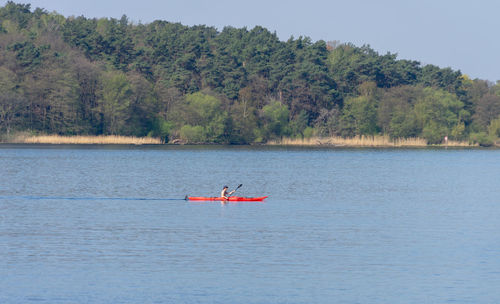 Man rowing boat in lake against trees