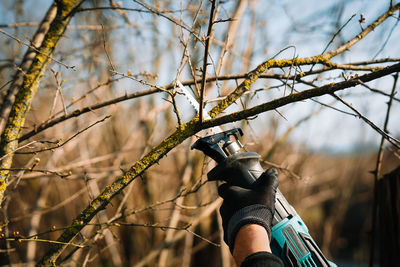 Close-up of hand holding electric saw against tree and branches