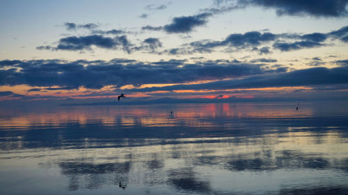Silhouette person in sea against sky during sunset