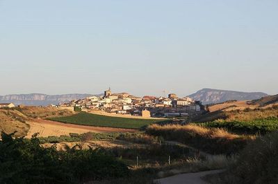 Houses on landscape