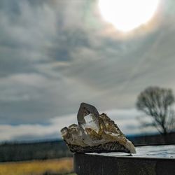 Close-up of frozen plant on land against sky