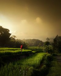 Man standing on field against sky