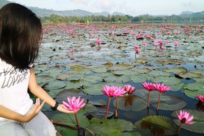 Woman looking at pink water lily in pond