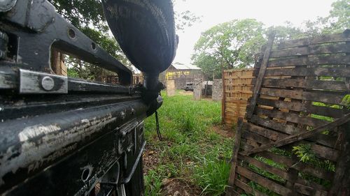 Abandoned train amidst trees against sky