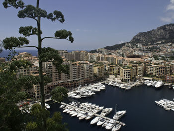 Monaco city