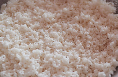 Full frame shot of white flowers