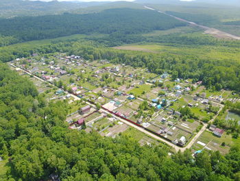 High angle view of trees and houses in forest