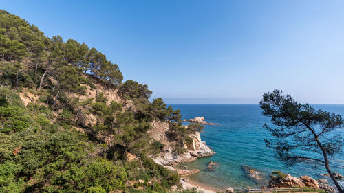 Scenic view of sea against clear blue sky