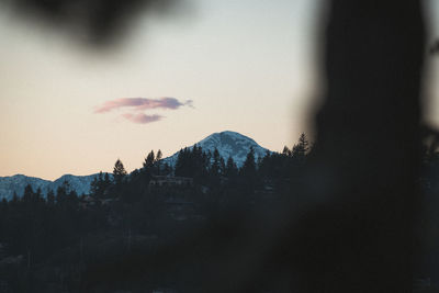 Silhouette trees and mountains against sky