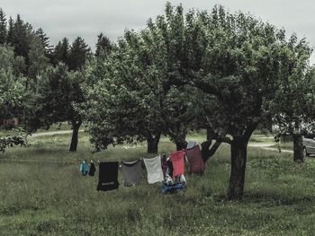 Trees on field against sky