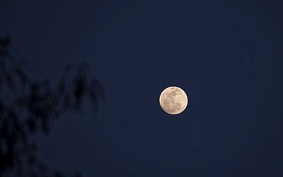 Low angle view of moon in sky