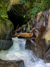 Scenic view of waterfall in forest