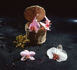 Close-up of flowers on table