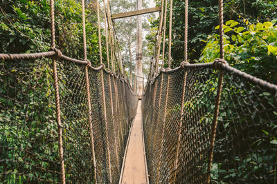 View of rope bridge in forest