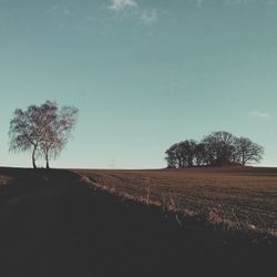 Trees on field against blue sky
