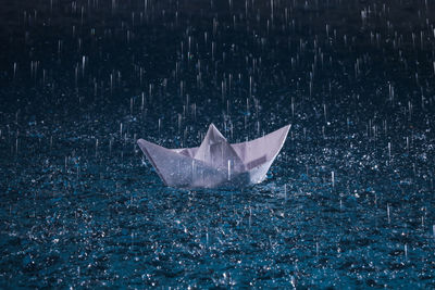 Close-up of paper boat in water on rainy day