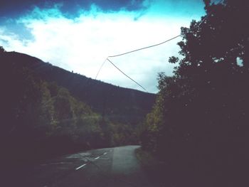 Trees against cloudy sky