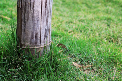 Close-up of wooden post on field