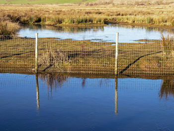 Fence with wooden posts reflected in icy blue water in a wetland habitat