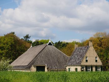 Trees on field against cloudy sky