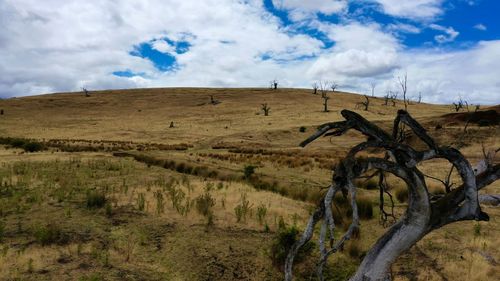 Scenic view of land against sky