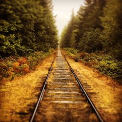 Surface level of railroad track