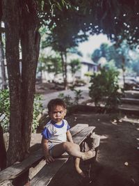 Full length portrait of boy sitting bench by tree