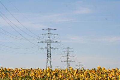 Sunflowers on field against sky wird power pylons