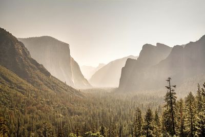 Scenic view of trees and mountains against clear sky during foggy weather