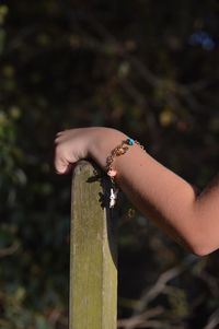 Close-up of hand holding leaf against blurred background