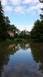 Reflection of trees in calm lake