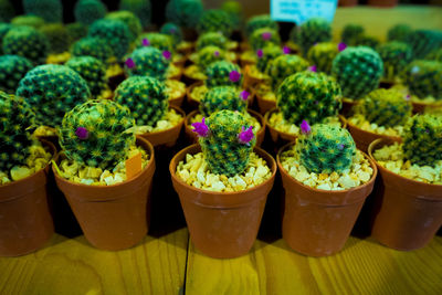 Close-up of multi colored vegetables for sale