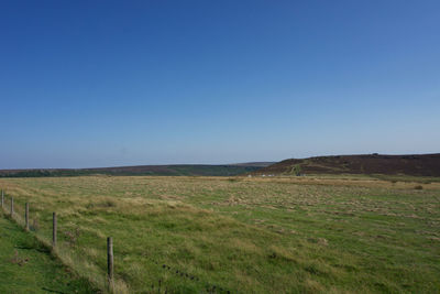 Scenic view of field against clear blue sky