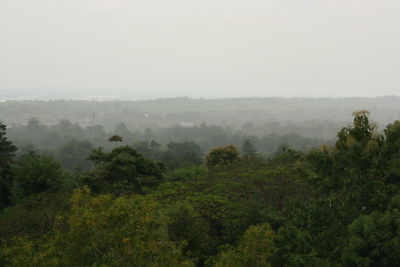 Trees on landscape against sky