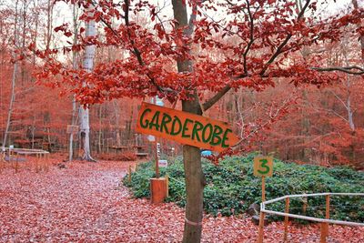 Information sign on tree in park during autumn