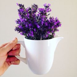 Cropped image of woman holding flower