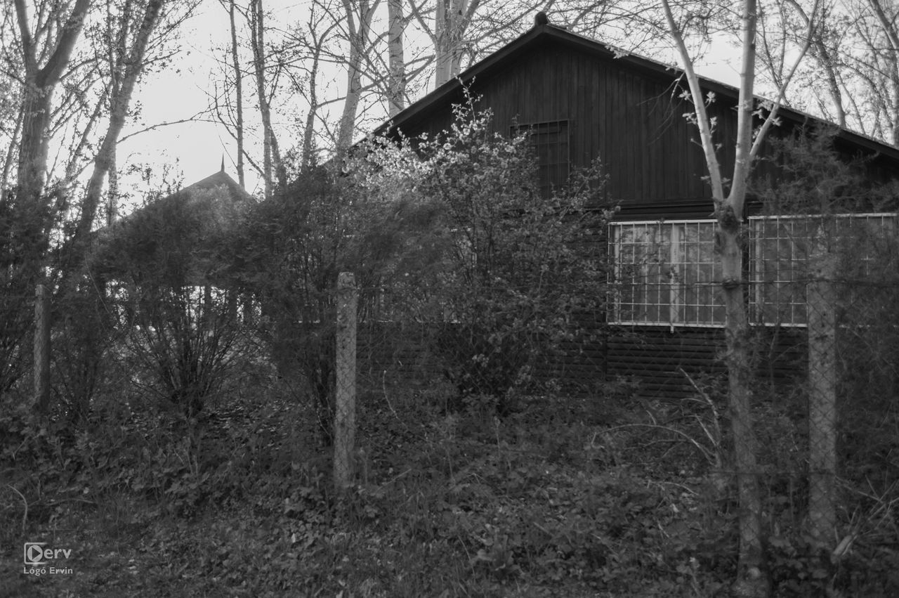 BUILT STRUCTURE WITH TREES IN FOREGROUND