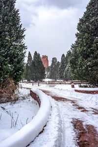 Snow covered plants by trees against sky