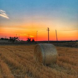 Scenic view of wheat field against sky during sunset