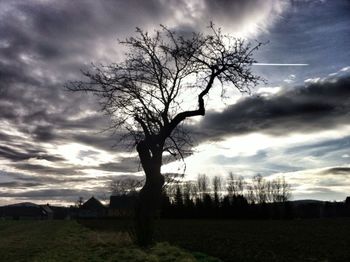 Bare trees on field against cloudy sky