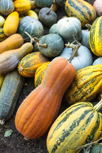 High angle view of pumpkins for sale at market stall