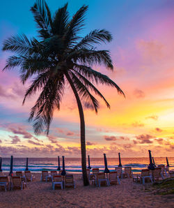 Silhouette palm tree on beach against sky at sunset