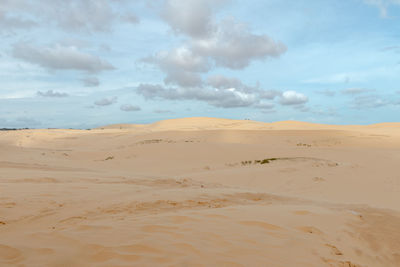 Scenic view of sand against sky