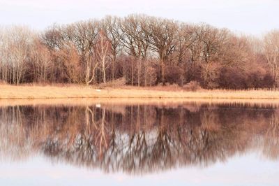 Reflection of trees in lake against sky