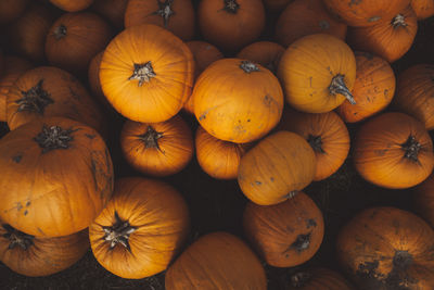 Full frame shot of pumpkins