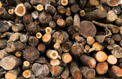 Full frame shot of logs