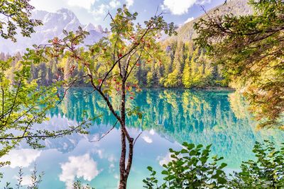 Scenic view of lake by trees against sky